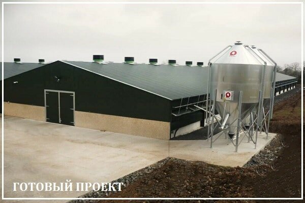 Этапы возведения птицефабрики от завода ВелесТент-кшр